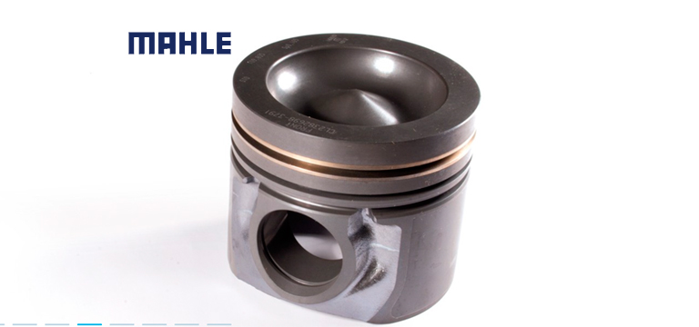 Coesap proyecto Mahle